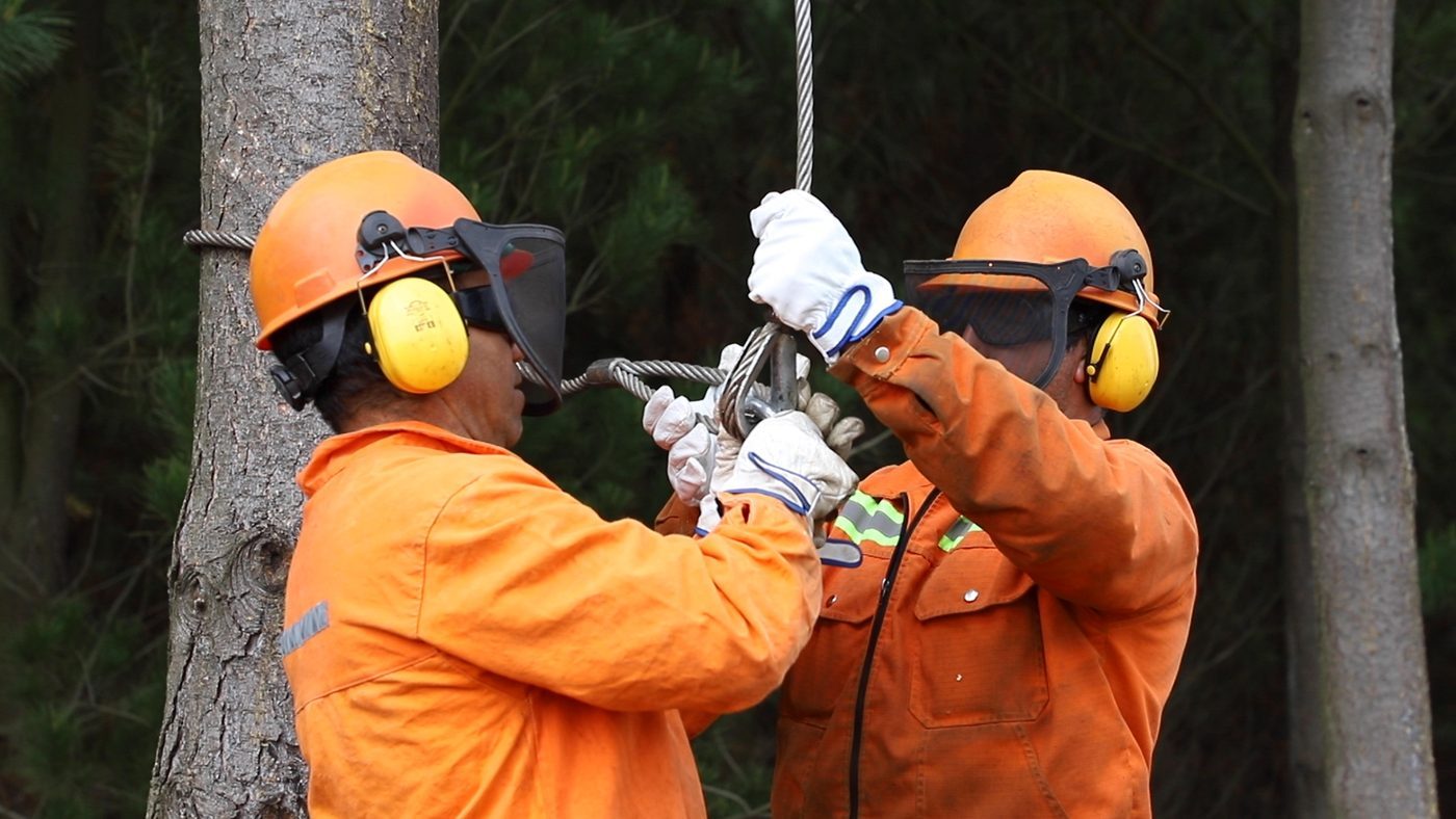 Serfoinza en terreno